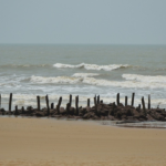 582455486digha shankarpur beach main