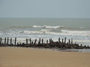 582455486digha shankarpur beach main